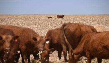 The Worst Spring Drought on Record Is Putting U.S. Crops at Risk