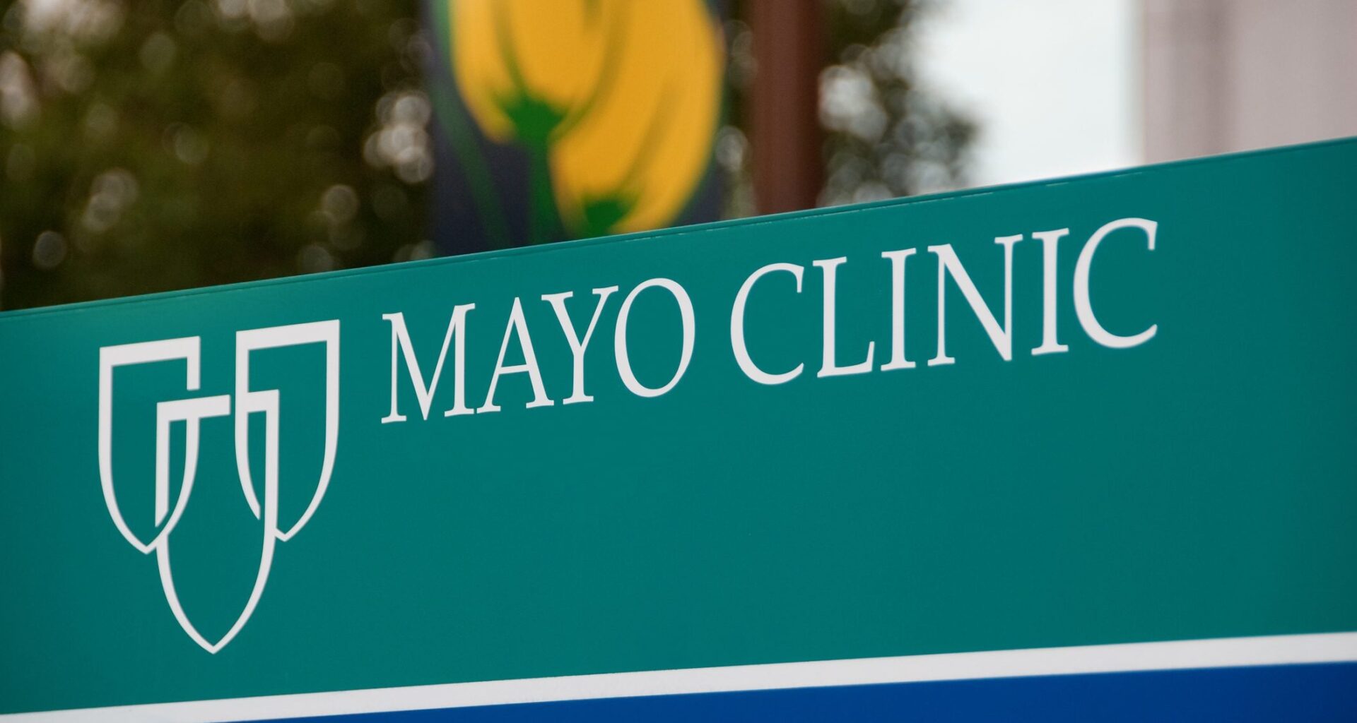 Mayo Clinic Diet: How She Lost 60 Pounds