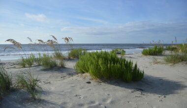 4 Hidden Gem Beach Towns Around the United States