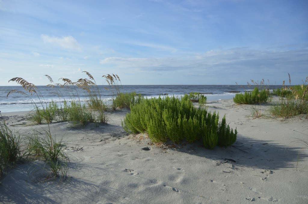 4 Hidden Gem Beach Towns Around the United States