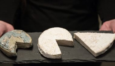 A Mark Cuban-backed vegan cheese firm trained AI to scrutinize cardboard boxes. It’s saved $400,000