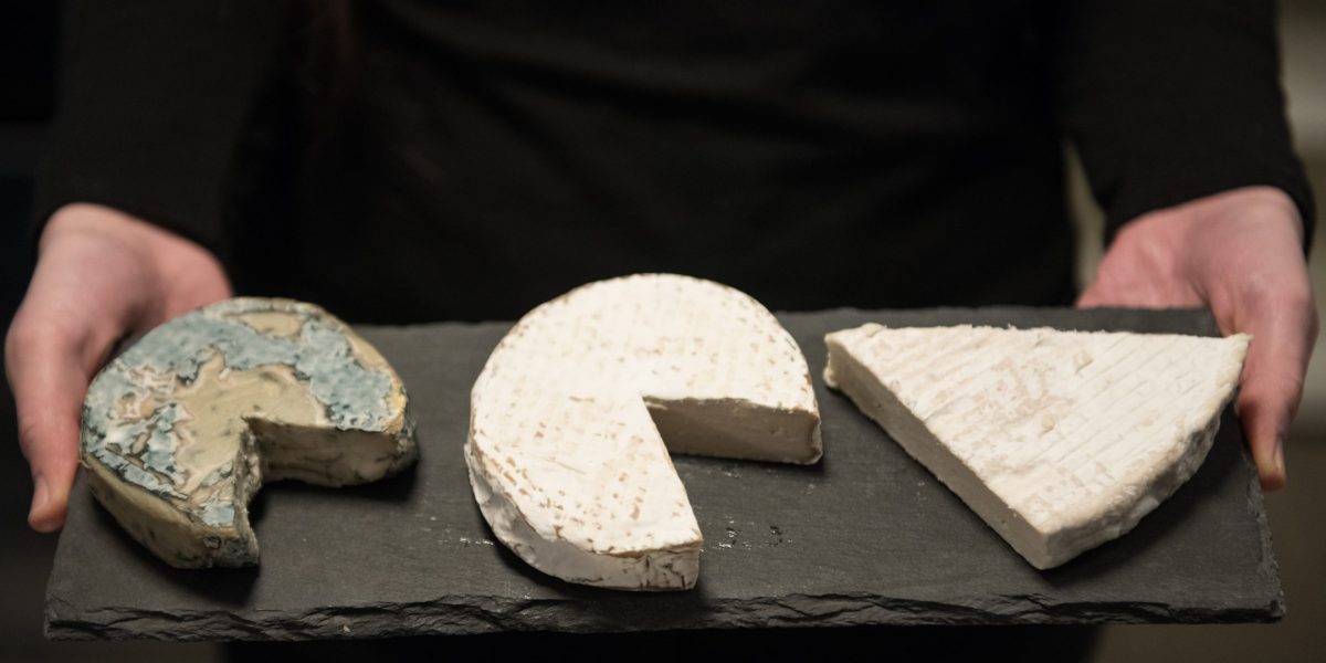 A Mark Cuban-backed vegan cheese firm trained AI to scrutinize cardboard boxes. It’s saved $400,000