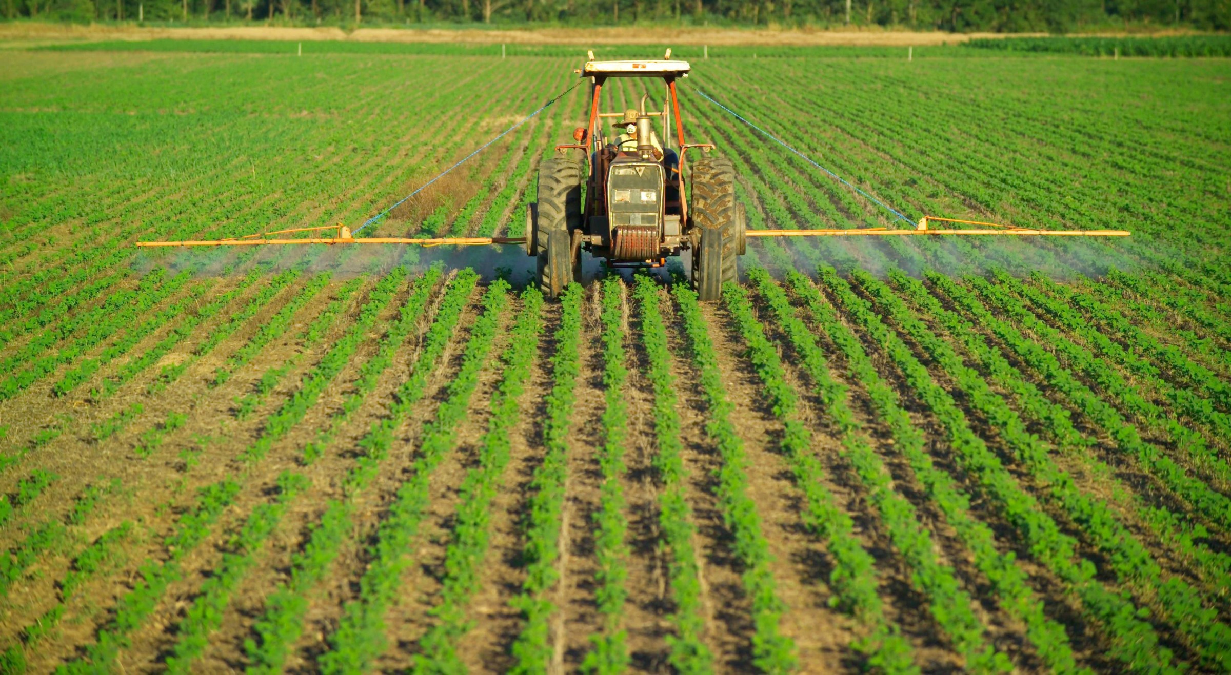 A farmer sprays pesticides on a field of soybeans in eastern Bolivia.