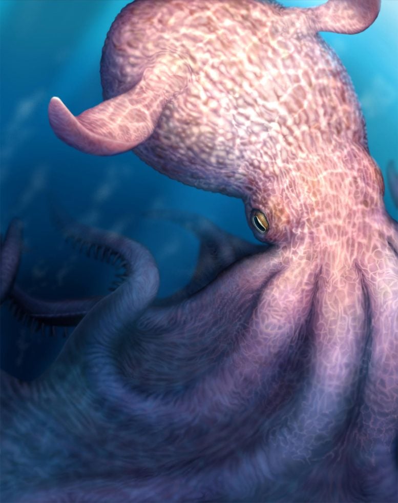 Giant Octopus Sketch