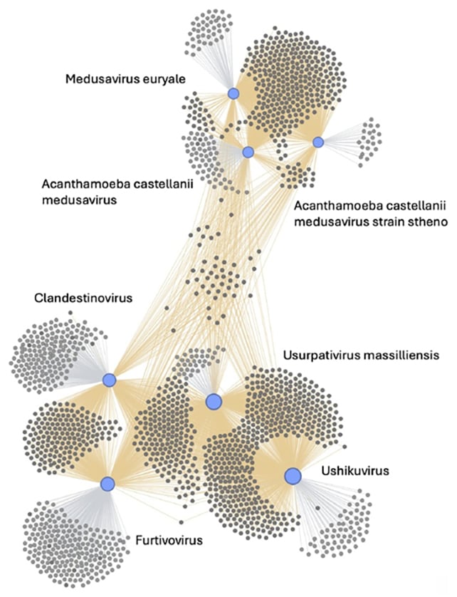 Giant virus chart