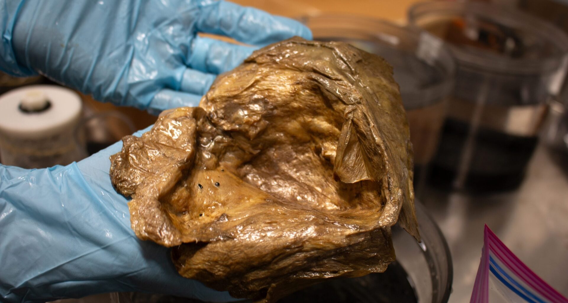 This Strange “Golden Orb” Found 2 Miles Deep Stumped Scientists for Years