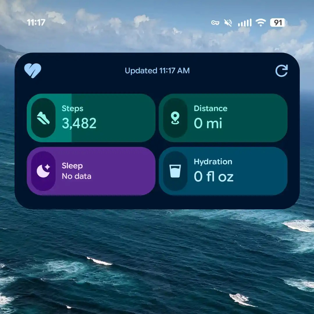 Google Health widget Google Health widget