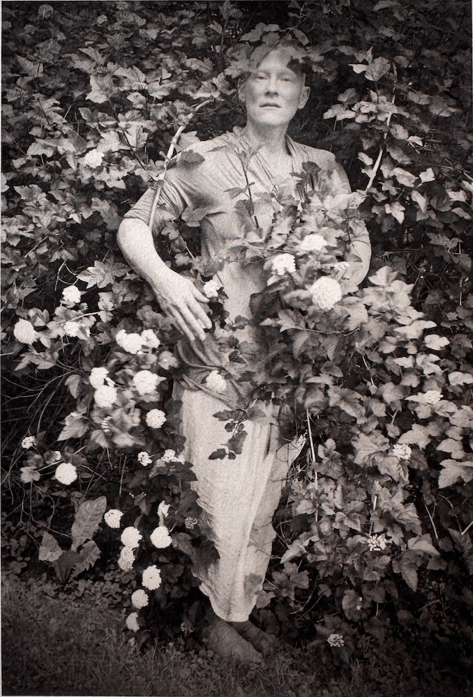Gordon_Amongtheroses