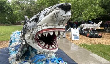 Final sculptures unveiled of Topeka Zoo’s ‘Washed Ashore’ art exhibit