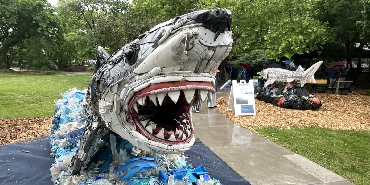 Final sculptures unveiled of Topeka Zoo’s ‘Washed Ashore’ art exhibit