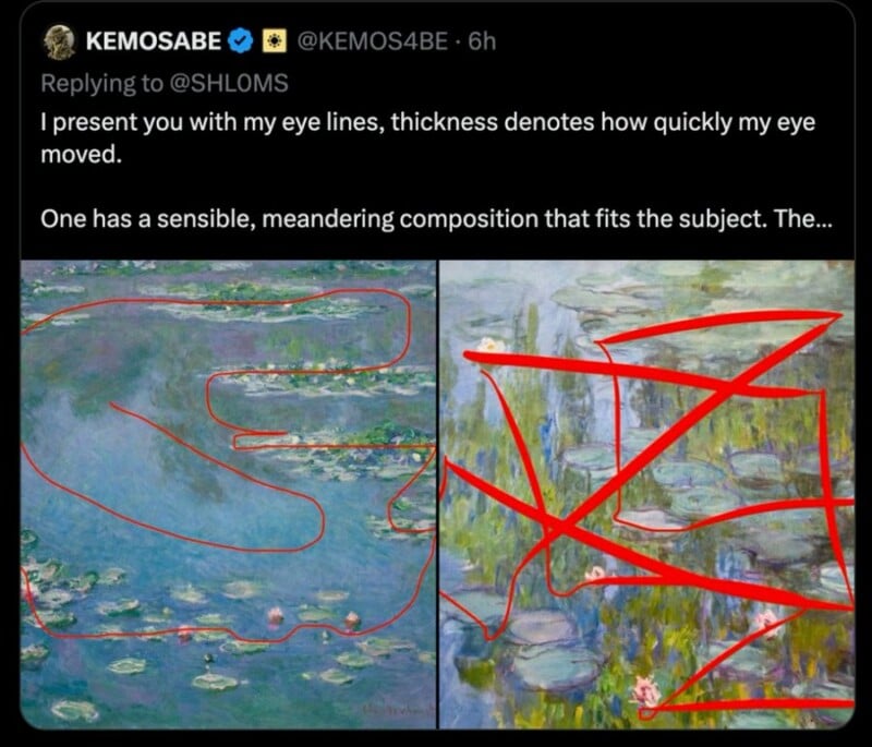 A tweet shows two Monet water lilies paintings side by side, each overlaid with red lines. The left image has a smooth, curving line; the right image has jagged, crisscrossing lines, illustrating different eye movement patterns.