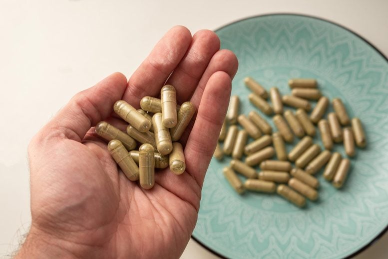 Hand Holding Kratom Pills