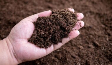 Hand Holding Rich Organic Peat Moss Soil Dirt
