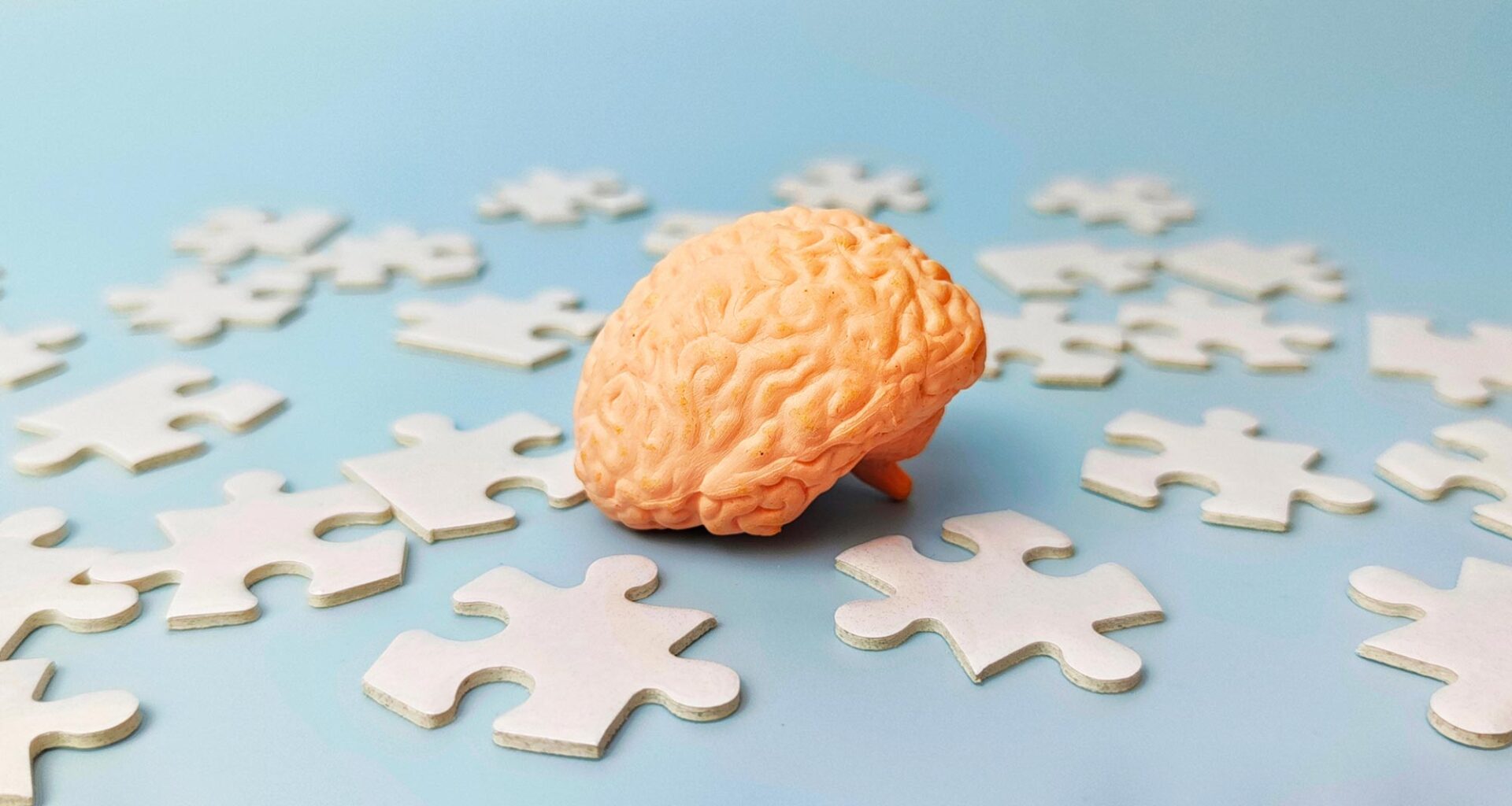 Human Brain Puzzle Pieces Neuroscience