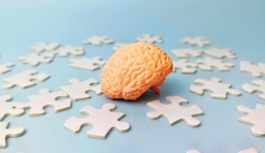 Human Brain Puzzle Pieces Neuroscience