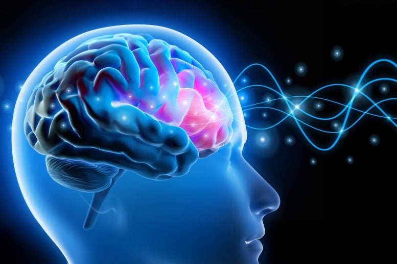 Human Head Brain Waves Neural Signals Treatment