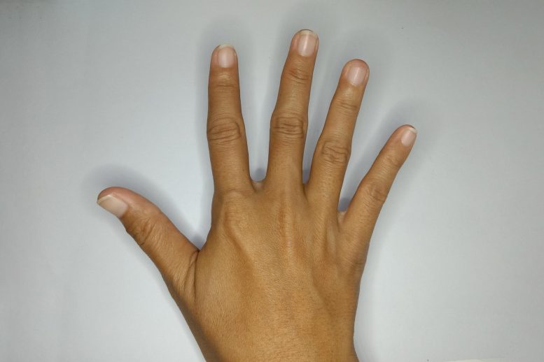 Human Right Hand