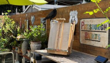 A View From the Easel