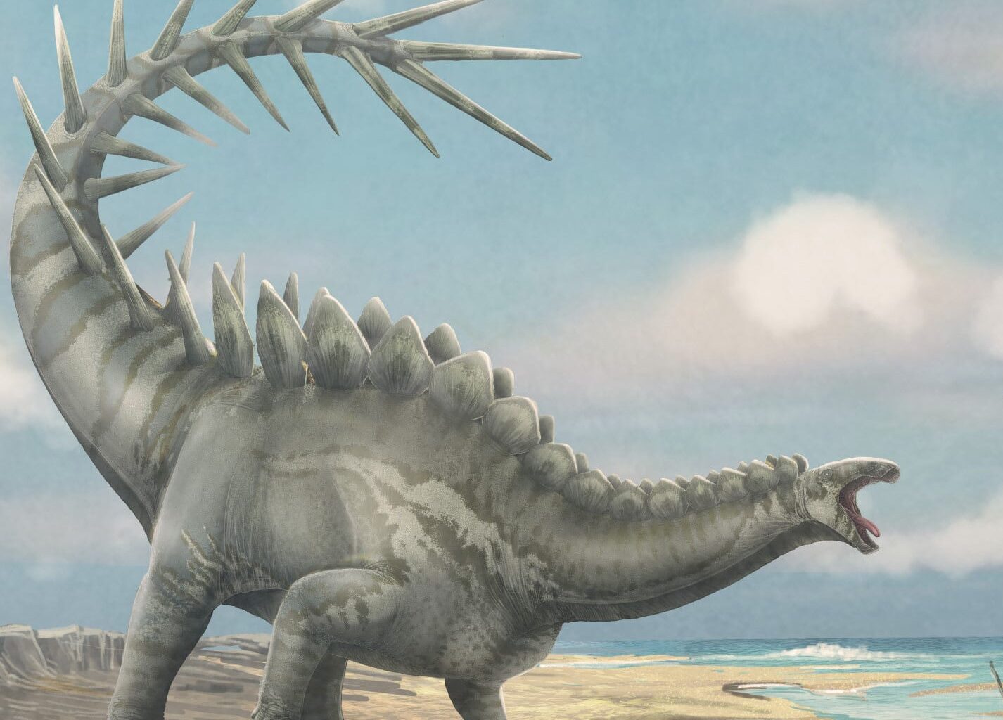 Illustration of Dacentrurus armatus
