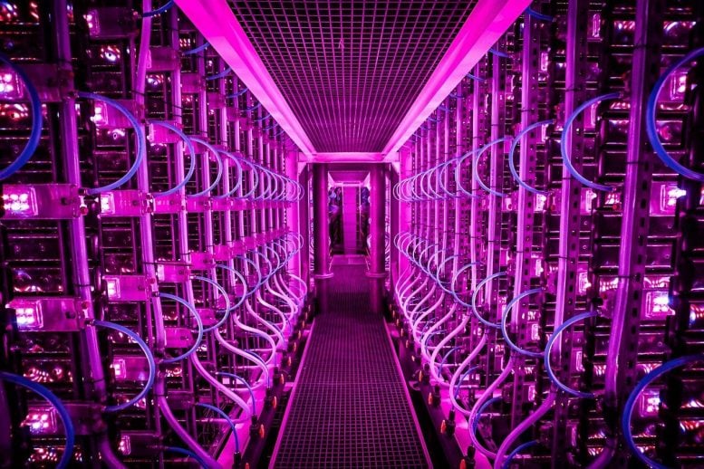 Internal View of the Photobioreactors