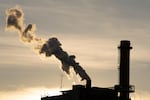 FILE - Steam is seen at the Nippon Dynawave Packaging Company plant, which manufactures liquid packaging board, in March, 2024, in Longview, Wash.