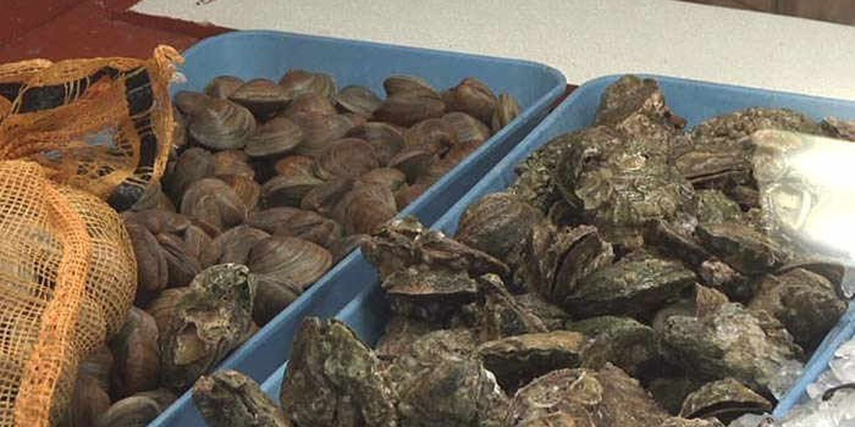 Connecticut health officials warn of hepatitis A outbreak linked to shellfish