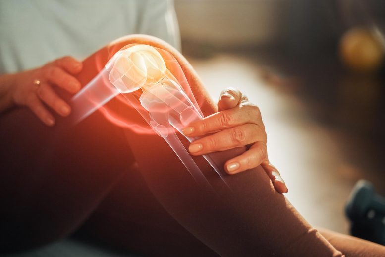 Knee Joint Pain Arthritis