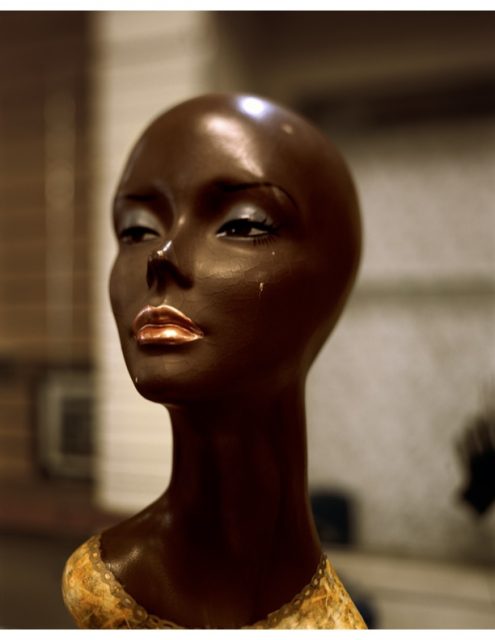 A dark brown mannequin head with a glossy finish, painted lips, and visible lashes is displayed indoors against a blurred background.