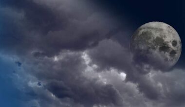 Clear skies give Metro Detroit perfect Blue Moon viewing weather