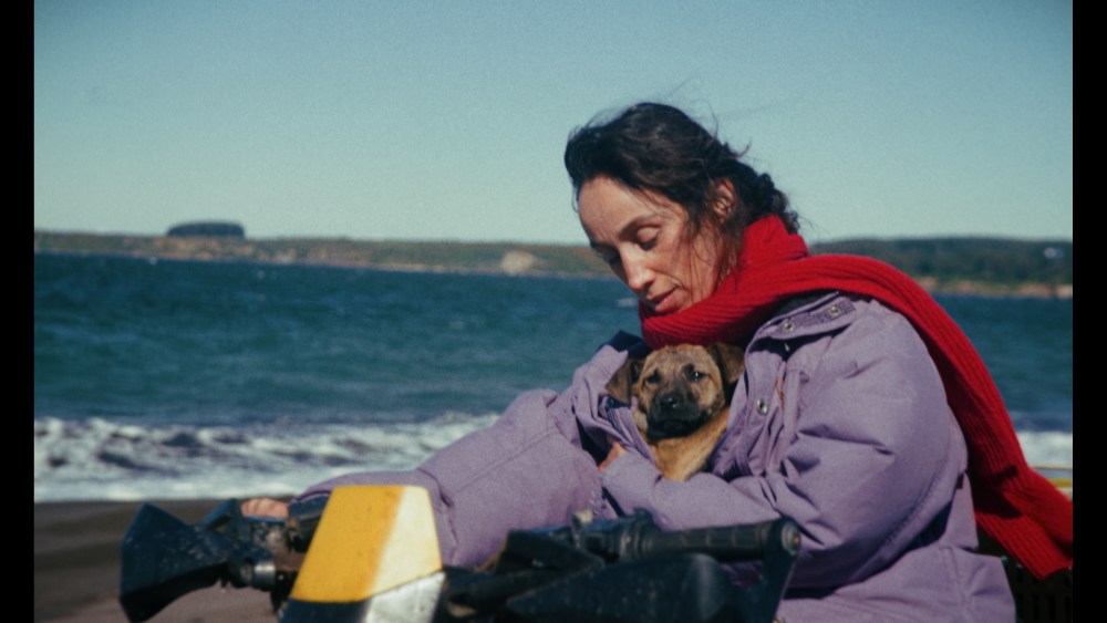 'La Perra' Review: Dominga Sotomayor Shores Up Her Reputation