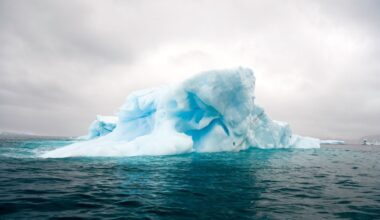 Antarctic Sea Ice Enters 'Shock' Decline as Ocean Heat Breaks Through : ScienceAlert