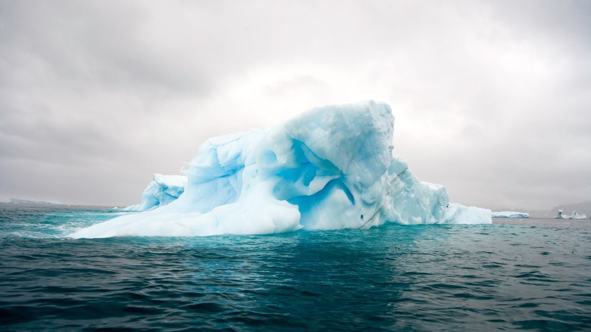 Antarctic Sea Ice Enters 'Shock' Decline as Ocean Heat Breaks Through : ScienceAlert