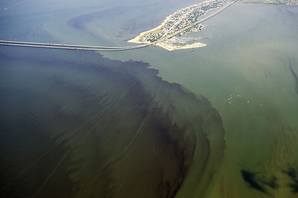 Mild dead zones forecast for Chesapeake Bay due to drought
