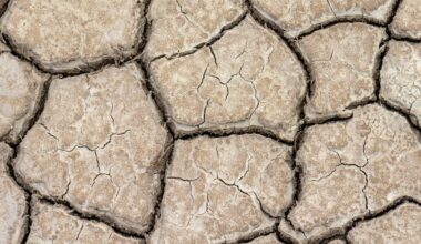 Recent rainfall has improved drought conditions across Kentucky