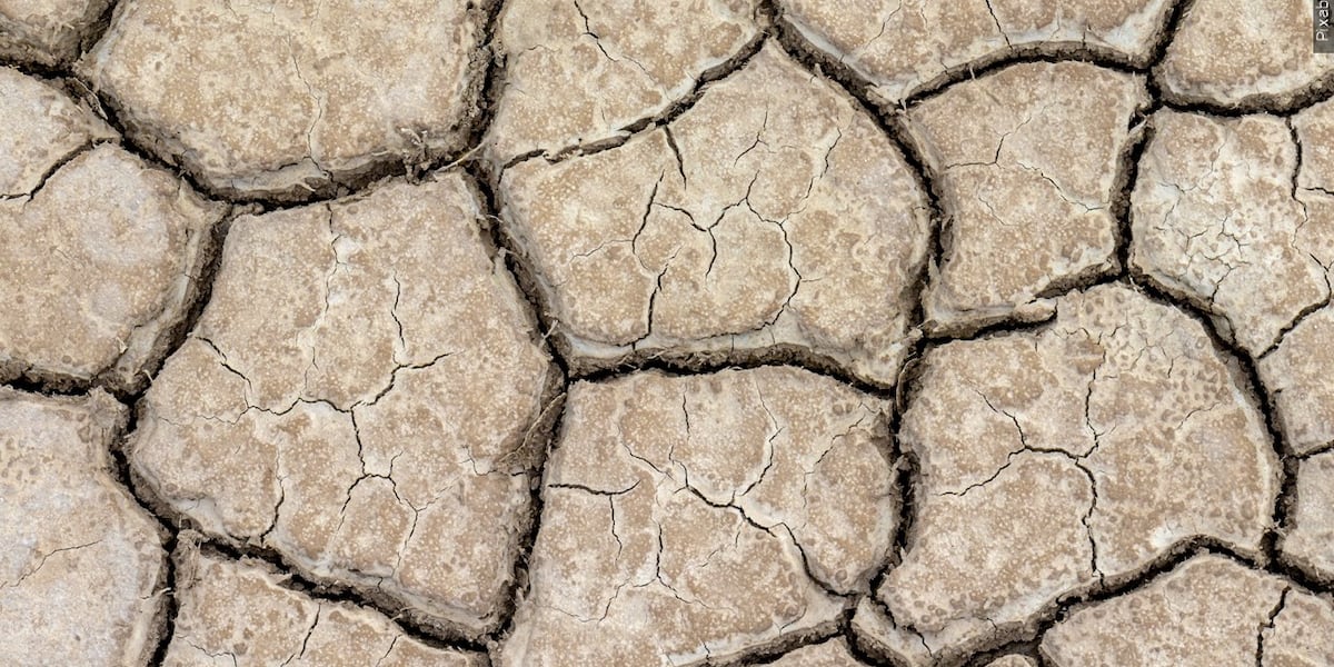 Recent rainfall has improved drought conditions across Kentucky