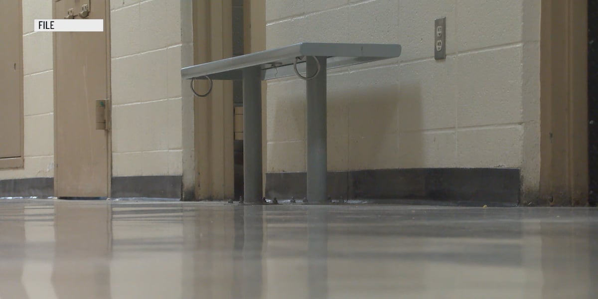 Northeast Arkansas jails to lose mental health services as provider will not renew contract