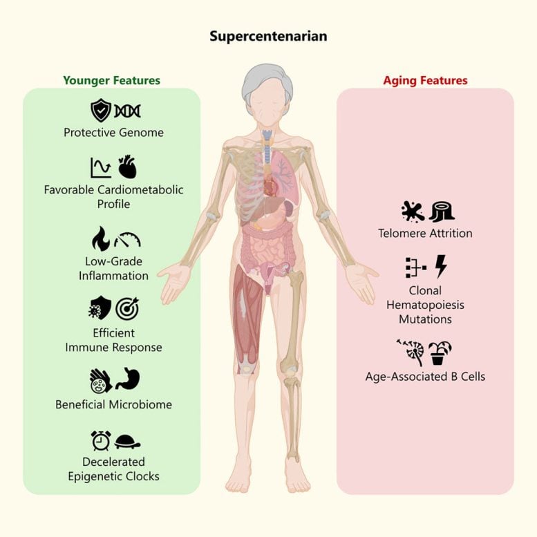 Maria Branyas Longevity Graphical Abstract