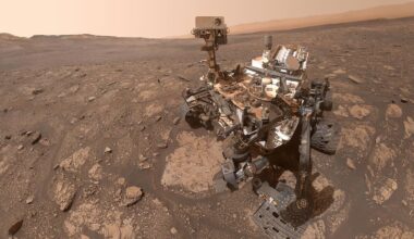 Mary Anning Mars Curiosity Selfie