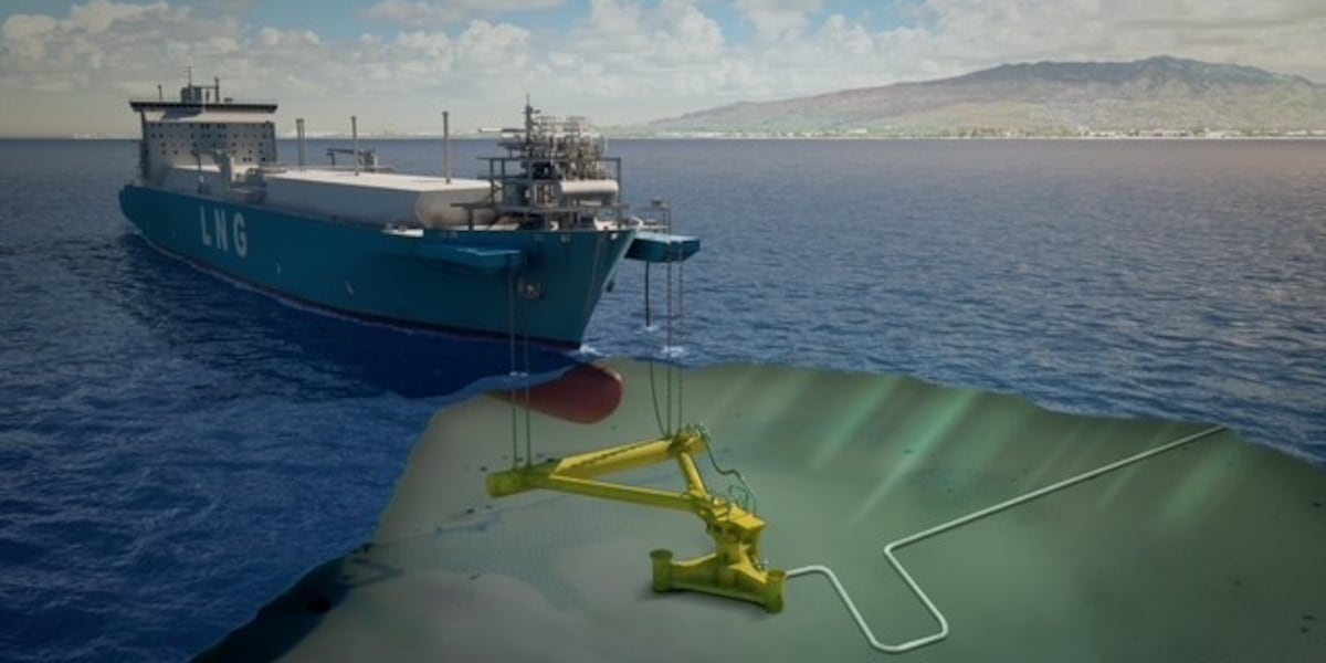 Anti-LNG coalition calls on Hawaii to stop plans to import fossil fuel