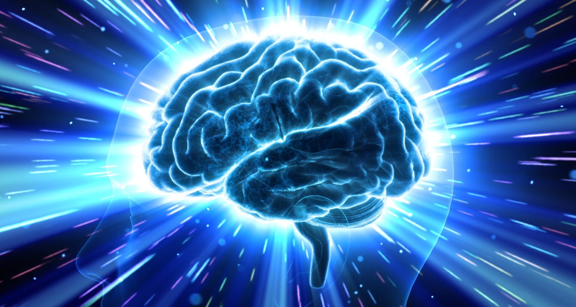 Neuroscience Brain Head Human Mental Idea Mind