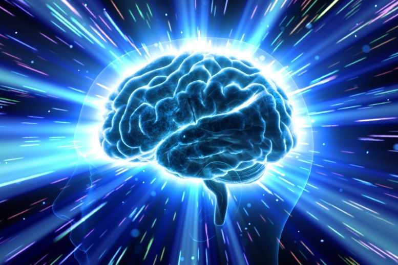 Neuroscience Brain Head Human Mental Idea Mind