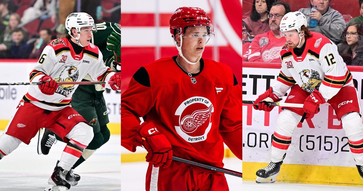 Grand Rapids Griffins | Grand Rapids Cuts Playoff Roster by Three