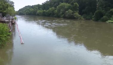 Sewage overflows, drought, heavy runoff blamed for massive Chattahoochee River fish kill