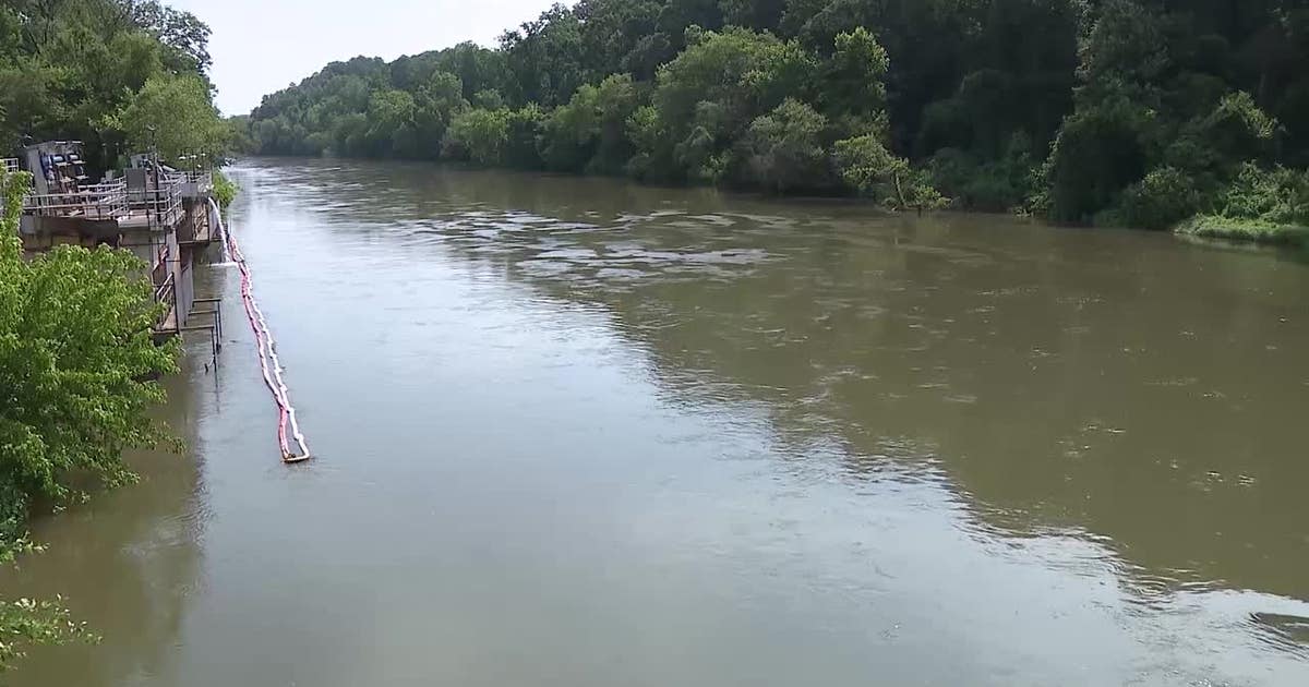 Sewage overflows, drought, heavy runoff blamed for massive Chattahoochee River fish kill