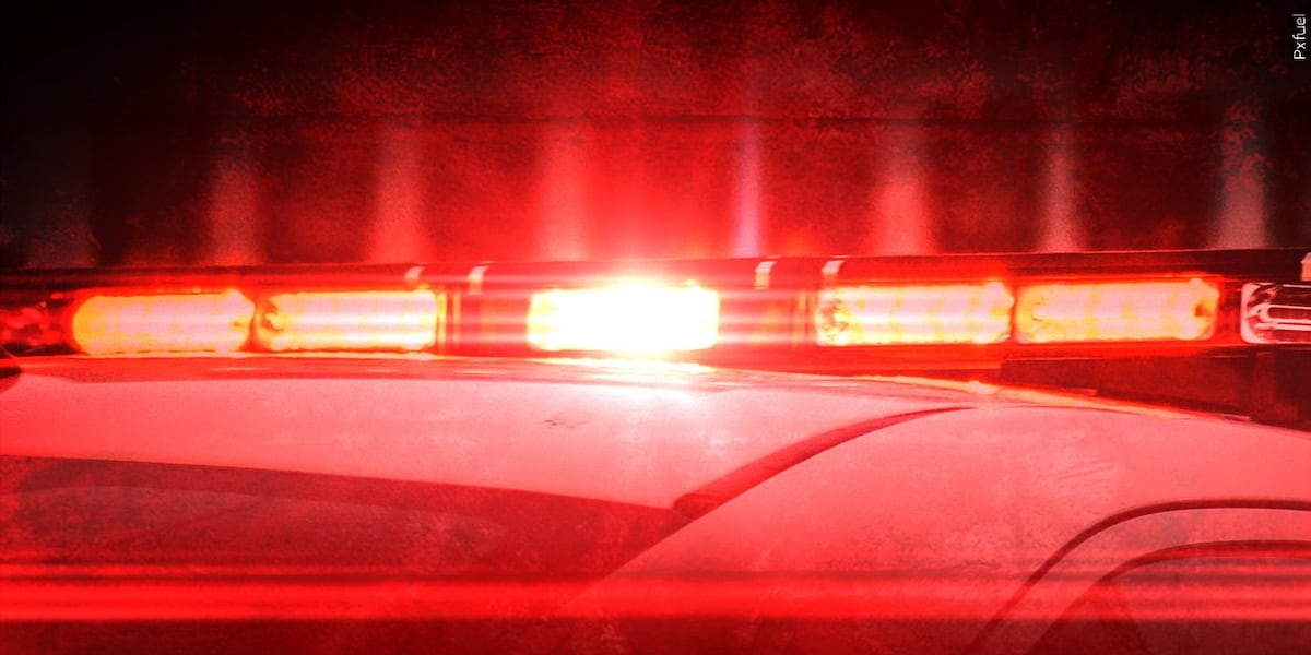 2 arrested for breaking into Cobb County coffee shop, using restroom to bathe