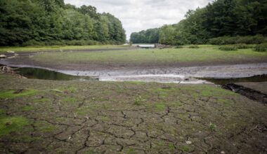 This could be historic year for El Niño. Here's what it means for CT