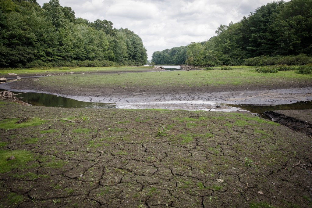 This could be historic year for El Niño. Here's what it means for CT