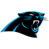 Argentina flag