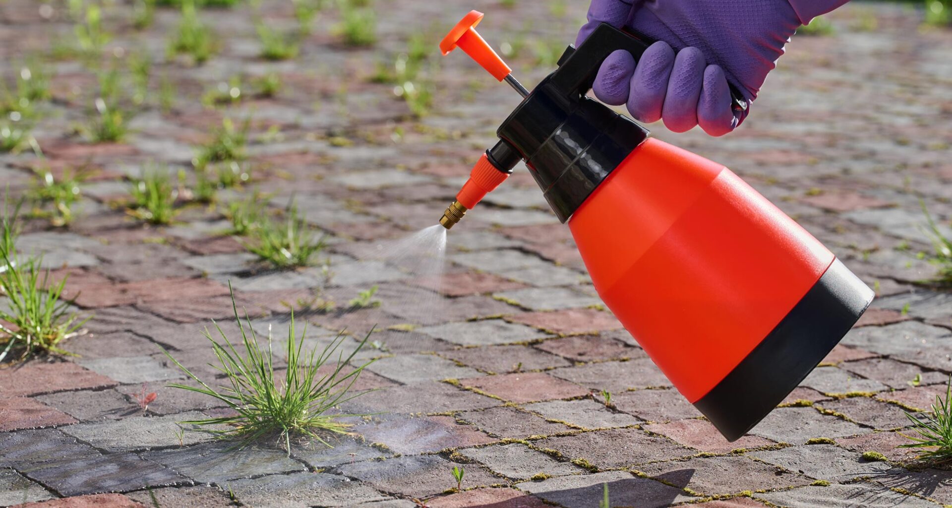 Pesticide Sprayer Gardener Herbicide Weed Killer