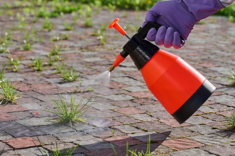 Pesticide Sprayer Gardener Herbicide Weed Killer